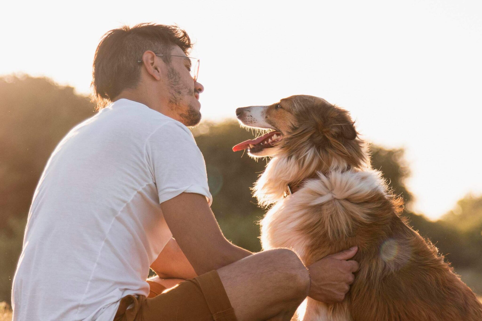 alimento-natural-resolver